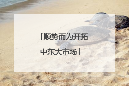 顺势而为开拓中东大市场