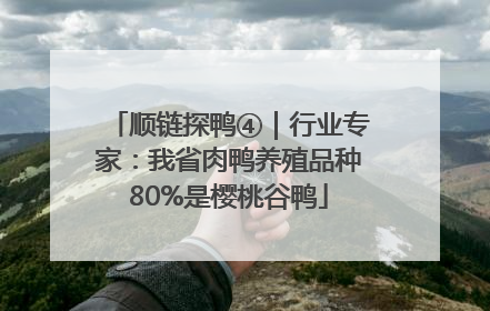 顺链探鸭④|行业专家:我省肉鸭养殖品种80%是樱桃谷鸭