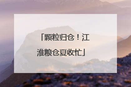 颗粒归仓！江淮粮仓夏收忙