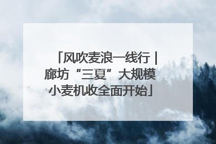 风吹麦浪一线行｜廊坊“三夏”大规模小麦机收全面开始