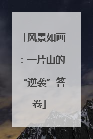 风景如画：一片山的“逆袭”答卷