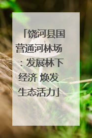 饶河县国营通河林场：发展林下经济 焕发生态活力