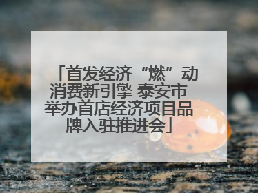 首发经济“燃”动消费新引擎 泰安市举办首店经济项目品牌入驻推进会