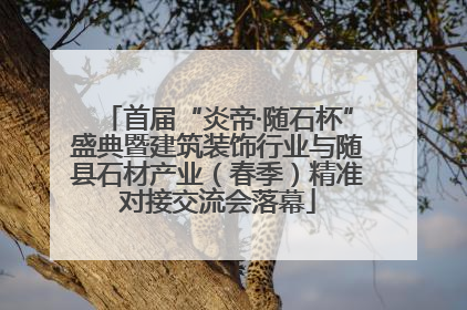 首届“炎帝·随石杯”盛典暨建筑装饰行业与随县石材产业（春季）精准对接交流会落幕