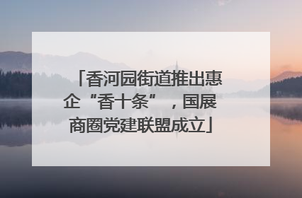 香河园街道推出惠企“香十条”，国展商圈党建联盟成立