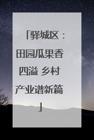 驿城区：田园瓜果香四溢 乡村产业谱新篇