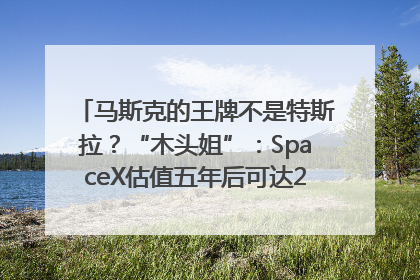 马斯克的王牌不是特斯拉？“木头姐”：SpaceX估值五年后可达2.5万亿美元！