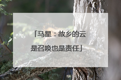 马星：故乡的云是召唤也是责任