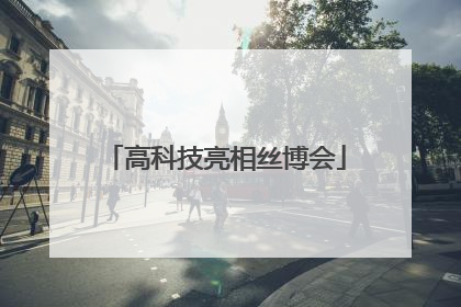 高科技亮相丝博会