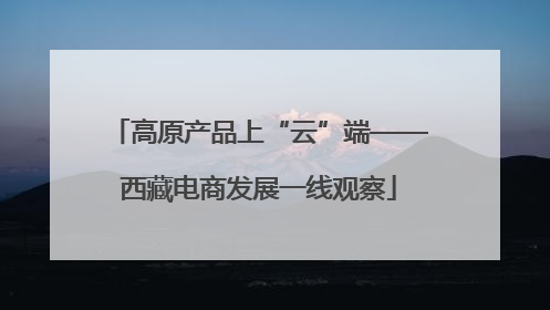 高原产品上“云”端——西藏电商发展一线观察