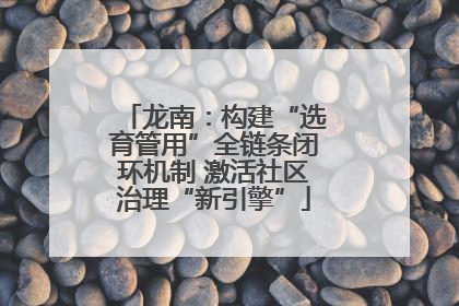 龙南：构建“选育管用”全链条闭环机制 激活社区治理“新引擎”