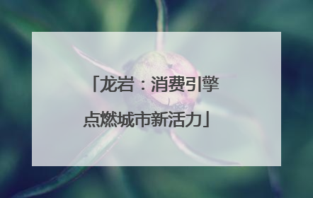 龙岩：消费引擎点燃城市新活力