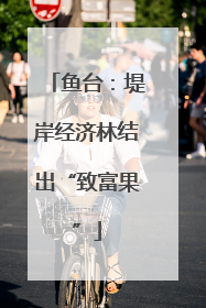 鱼台：堤岸经济林结出“致富果”