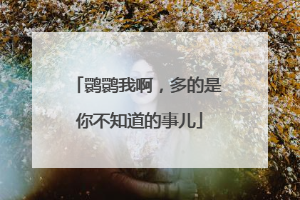 鹮鹮我啊，多的是你不知道的事儿