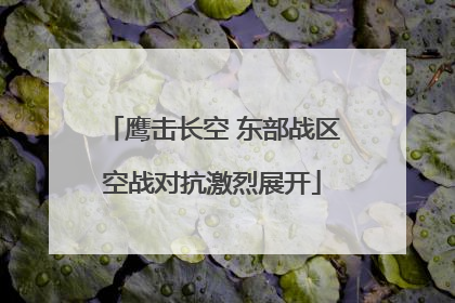 鹰击长空 东部战区空战对抗激烈展开