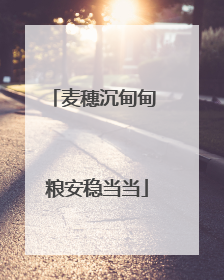 麦穗沉甸甸 粮安稳当当