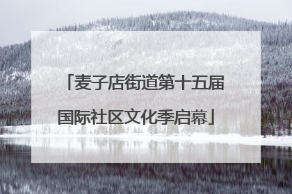 麦子店街道第十五届国际社区文化季启幕