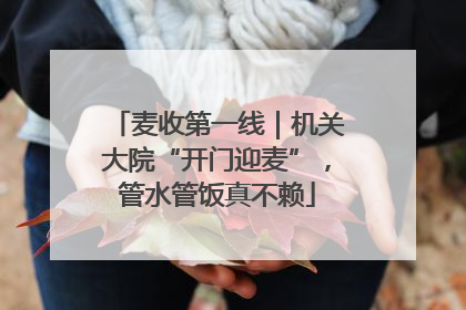 麦收第一线｜机关大院“开门迎麦”，管水管饭真不赖