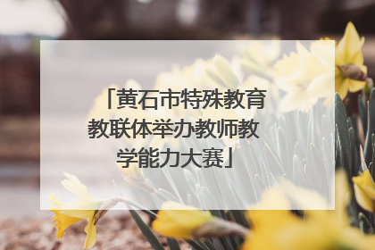 黄石市特殊教育教联体举办教师教学能力大赛