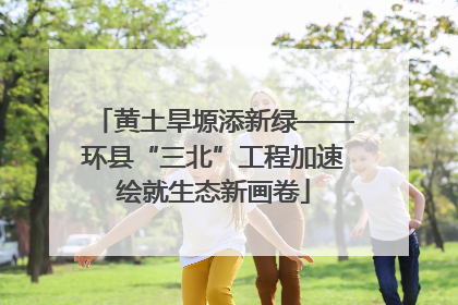 黄土旱塬添新绿——环县“三北”工程加速绘就生态新画卷