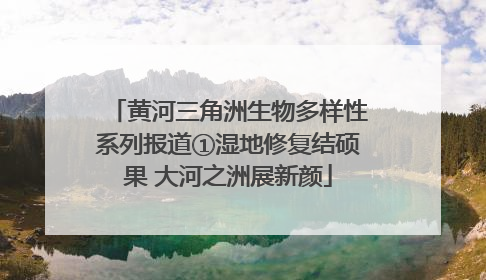 黄河三角洲生物多样性系列报道①湿地修复结硕果 大河之洲展新颜