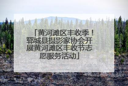 黄河滩区丰收季！郓城县摄影家协会开展黄河滩区丰收节志愿服务活动