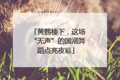黄鹤楼下，这场“无声”的国潮舞蹈点亮夜幕