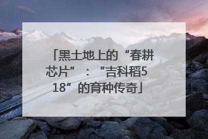 黑土地上的“春耕芯片”：“吉科稻518”的育种传奇