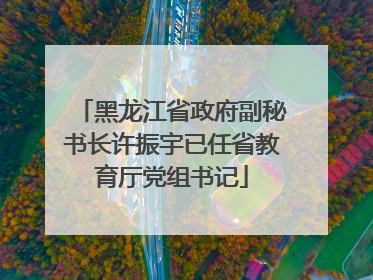 黑龙江省政府副秘书长许振宇已任省教育厅党组书记