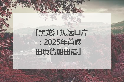 黑龙江抚远口岸：2025年首艘出境货船出港