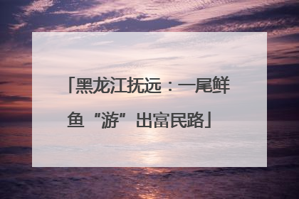 黑龙江抚远：一尾鲜鱼“游”出富民路