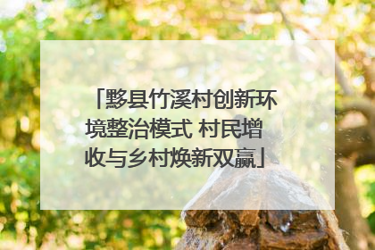 黟县竹溪村创新环境整治模式 村民增收与乡村焕新双赢