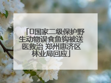 ﻿国家二级保护野生动物误食鱼钩被送医救治 郑州惠济区林业局回应
