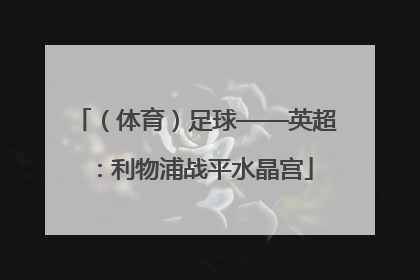 （体育）足球——英超：利物浦战平水晶宫