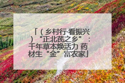 （乡村行·看振兴）“正北芪之乡”：千年草本焕活力 药材生“金”富农家