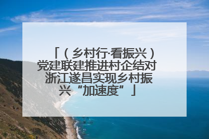 （乡村行·看振兴）党建联建推进村企结对 浙江遂昌实现乡村振兴“加速度”