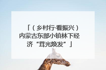 （乡村行·看振兴）内蒙古东部小镇林下经济“茸光焕发”