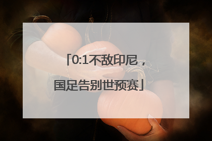 0:1不敌印尼，国足告别世预赛