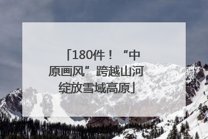 180件！“中原画风”跨越山河绽放雪域高原