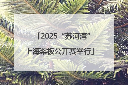 2025“苏河湾”上海桨板公开赛举行