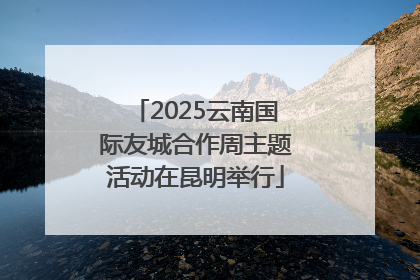 2025云南国际友城合作周主题活动在昆明举行