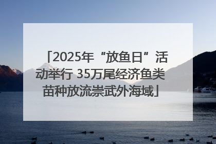 2025年“放鱼日”活动举行 35万尾经济鱼类苗种放流崇武外海域