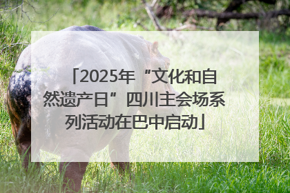 2025年“文化和自然遗产日”四川主会场系列活动在巴中启动