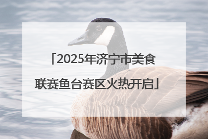 2025年济宁市美食联赛鱼台赛区火热开启