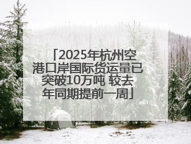 2025年杭州空港口岸国际货运量已突破10万吨 较去年同期提前一周