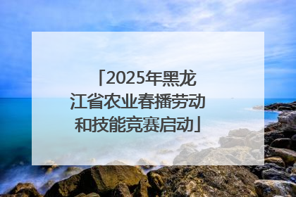 2025年黑龙江省农业春播劳动和技能竞赛启动