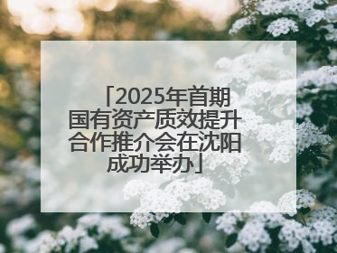 2025年首期国有资产质效提升合作推介会在沈阳成功举办