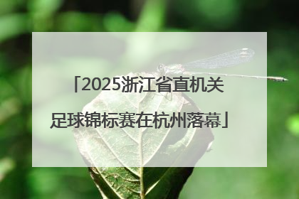 2025浙江省直机关足球锦标赛在杭州落幕