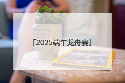 2025端午龙舟赛