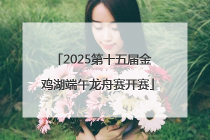 2025第十五届金鸡湖端午龙舟赛开赛